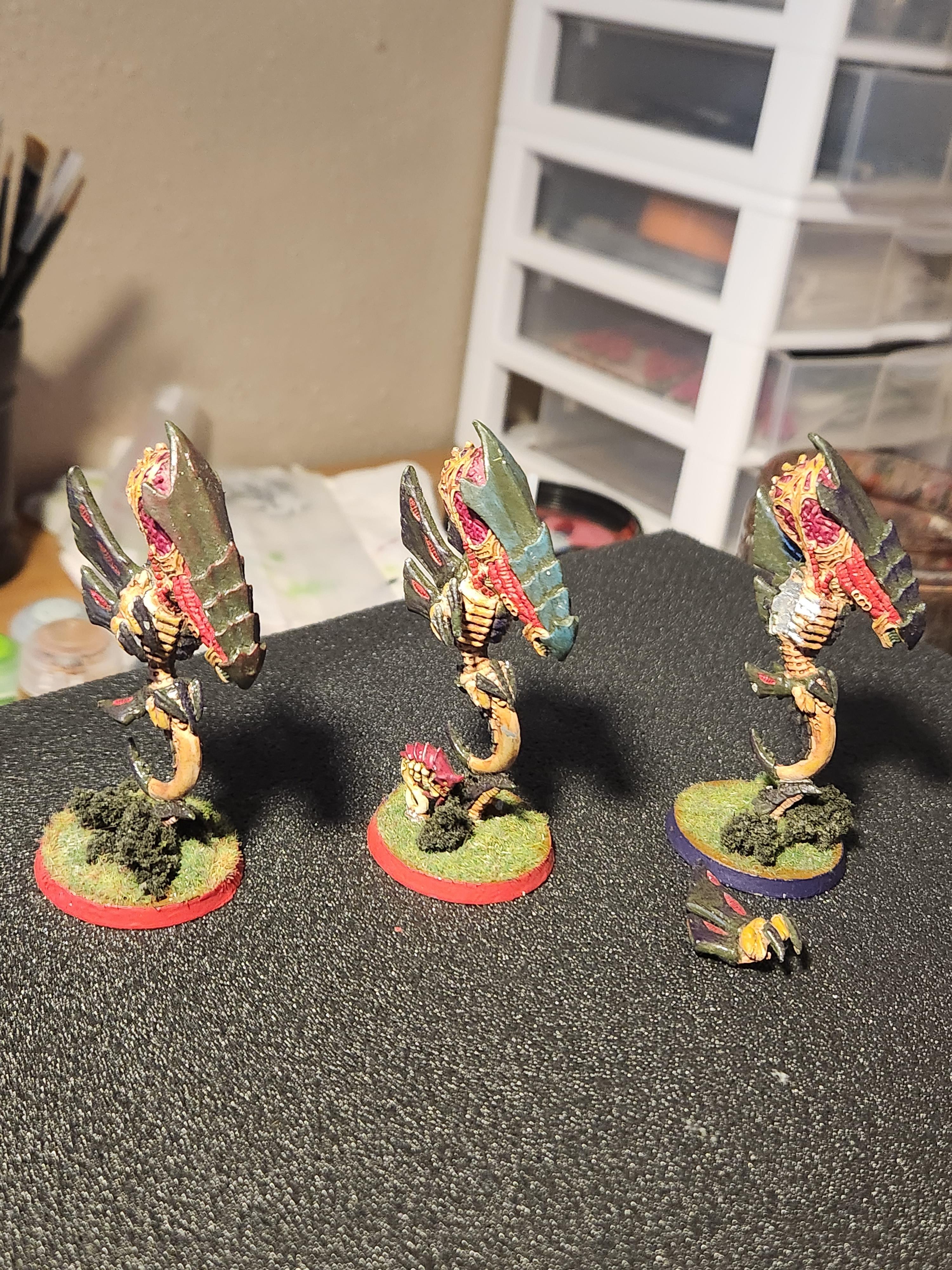 Zoanthrope Zoanthropes Zoanthropes Gallery DakkaDakka Zoanthrope Zoanthropes Zoanthropes Gallery DakkaDakka